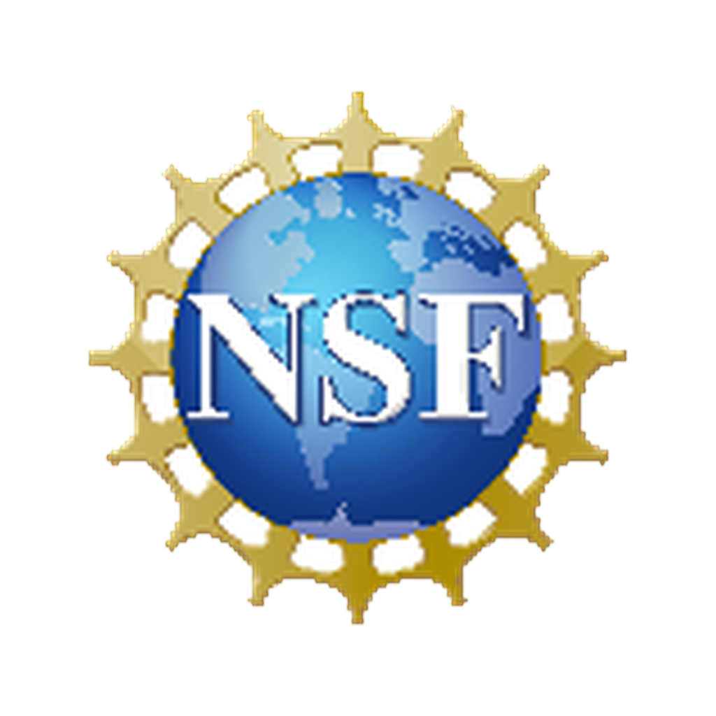 NSF SBIR